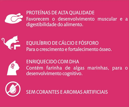 QUALIDAY CAT FILHOTE LACTACAO 1KG