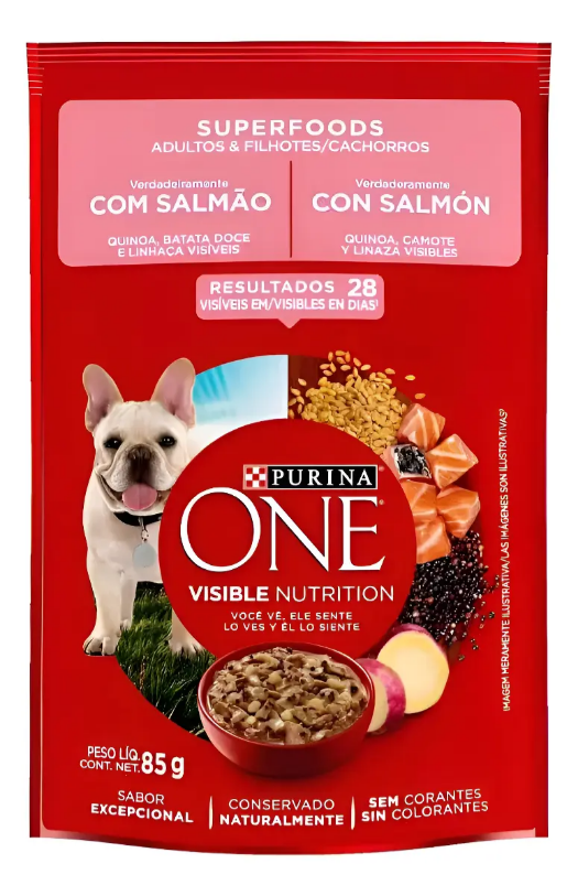 ONE CAES SALMAO SUPERFOODS ADLT E FILH 15un