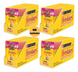 FRISKIES CARNE AO MOLHO 60un