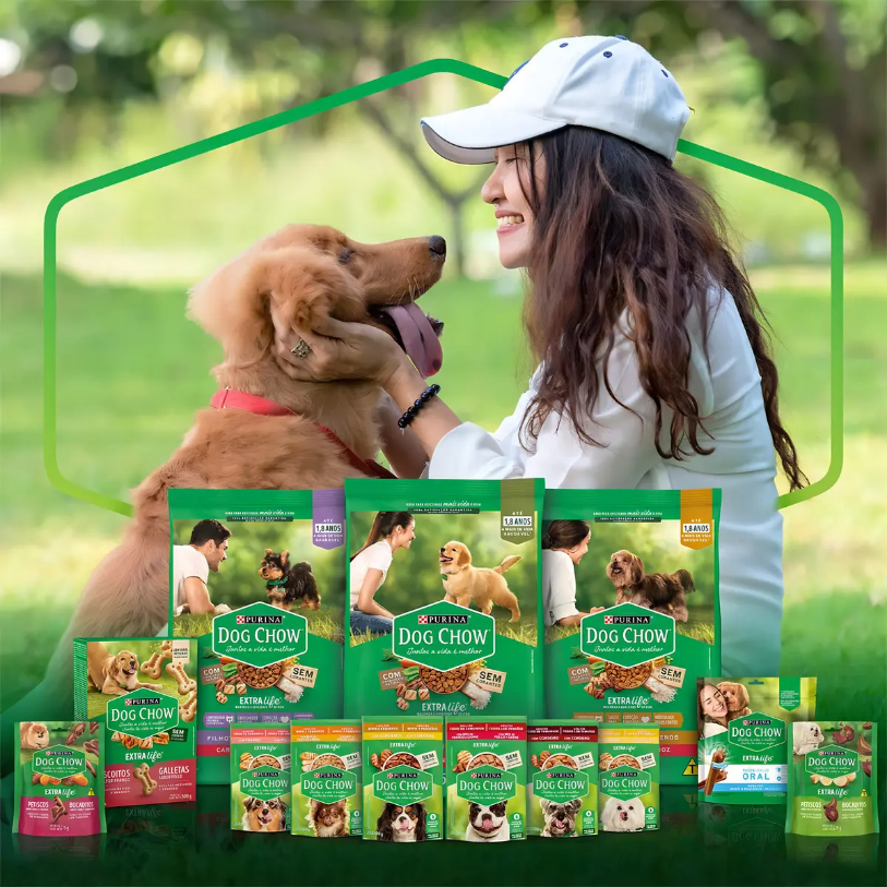 DOG CHOW ADLT TDTM FRANGO 60un