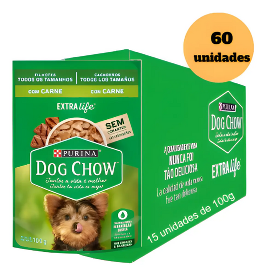 DOG CHOW FILH TDTM CARNE 60un