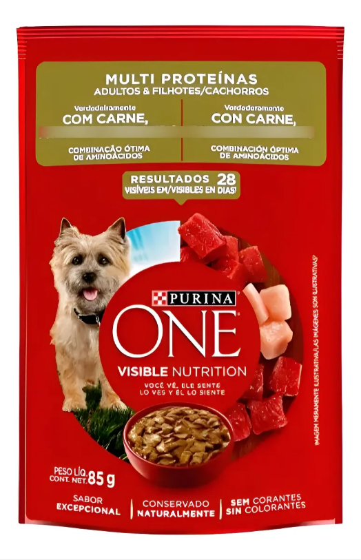 ONE CAES CARNE MULTI PROTEINA ADLT E FILH 30un