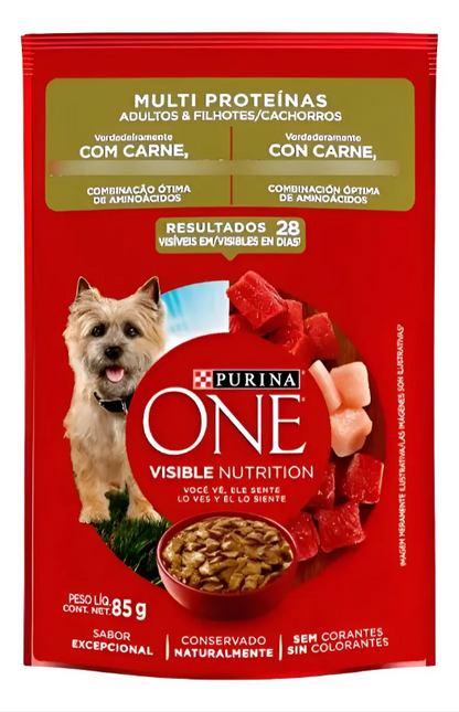 ONE CAES CARNE MULTI PROTEINA ADLT E FILH 30un