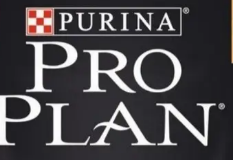 PRO PLAN ADULTO POLLO/FRANGO 15un
