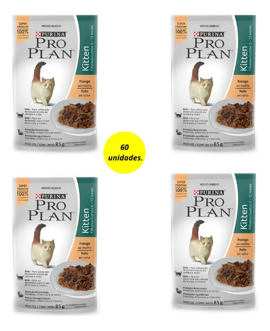 PRO PLAN KITTEN FRANGO 60un