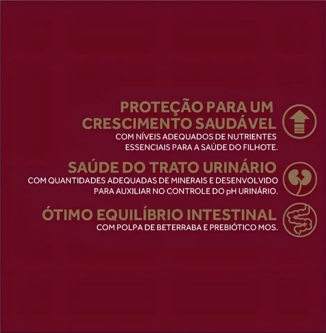 GP MENU GATO FILH FA PC FD4X3KG