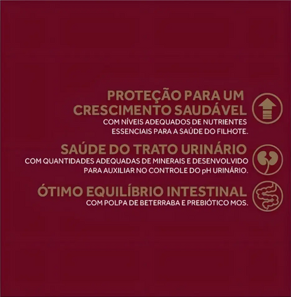 GP MENU GATO FILH FA PC FD4X3KG